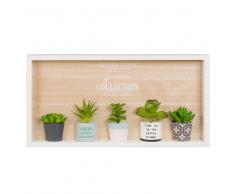 Cuadro con plantas suculentas artificiales 46x23