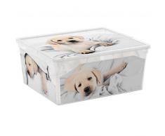 KIS 8013183085858 caja y cesta de almacenaje - cajas y cestas de almacenaje (Caja de almacenaje, Multicolor, Imagen, Rectangular)