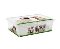 KIS 8013183085872 caja y cesta de almacenaje - cajas y cestas de almacenaje (Caja de almacenaje, Multicolor, Imagen, Rectangular)