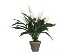 MICA Decorations 947789 de T Planta Artificial, plástico, 40 x 40 x 50 cm, color blanco