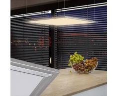 VidaXL Lámpara de techo LED, 60 x cm, 40 W, Blanco cálido