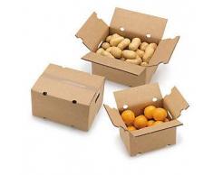 Caja para expedición de frutas y verduras 31x22,5x21,5 cm