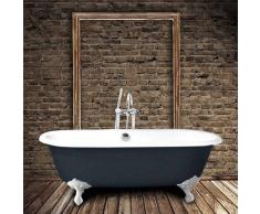 Hierro Bañera Clásica hierro fundido PLYMOUTH 170 cm GRIS con patas blancas