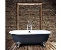 Hierro Bañera Clásica hierro fundido PLYMOUTH 153 cm GRIS con patas cromadas