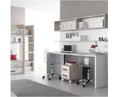 DESKandSIT Mesa mesas de estudio de trabajo doble mju2023008