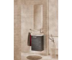 Baño-WC lavabo mueble para fregadero de color (front): pino antracita, color (estructura): pino Antracita