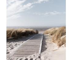 Eurographics DG-DT5284 Deco Glass Morning Walk - Póster decorativo (20 x 20 cm, acristalado), diseño de paseo entre dunas