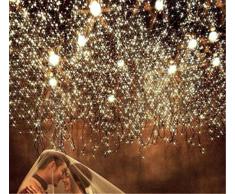 DulceCasa 3x3m 300Pcs Guirnaldas Bombillas Lámpara LED decorativo Fiesta Navidad Decoración Árbol Cortina Luminosas luz Blanco Caliente