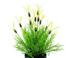 Euro Palms 82505639 - Planta artificial (40 cm)