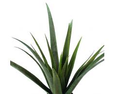 Europalms - Planta de aloe vera artificial (79 cm), multicolor