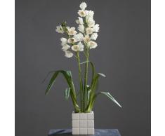 De la orquídea Cymbidium en el recipiente de colour crema 90 cm Arte de la flor de ppp
