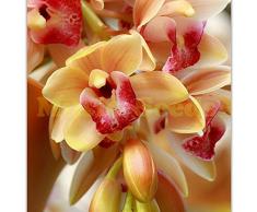 1bad = 100 unidades semillas de bonsái cymbidium orquídea amarilla balcón folowers raras para el hogar y el jardín