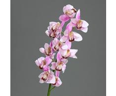 Orquídea-Cymbidium con flores y texto{12} "fresh" Lavender 98 cm de flor de ppp