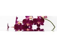 pared de cocina trasera Artland Espejos de cocina Protección contra salpicaduras Hightech-aluminio-paneles compuestos sydeen Orquídea Phalaenopsis vor de pié Fondo y grandioso Reflexión en varios tamaños y colores disponible - 48x180 cm