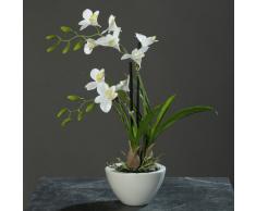 Orquídea en un tazón de fuente blanco 40 cm de la flor artificial por DPI
