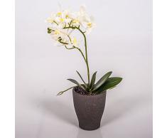 Pequeña orquídea phalaenopsis decorativa EMILY en maceta, blanco, 35 cm - Flor sintética / Planta artificial - artplants