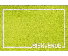 Deco Tapis - 1740204, Felpudo Rectangulo , 40 X 60 Cm , Flash , Coco Estampado Fondo Color , Verde