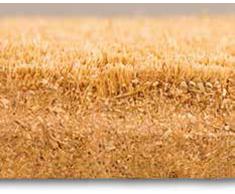 Faba Home de fibra de coco Felpudo de fibra de coco de ante la suciedad de la pesca, tamaño extra grande XXL, muy resistente, el tiempo de sólida de Felpudo, un tapete, 120 x 45 x 1,5 cm, 5 Bäume, xx-large