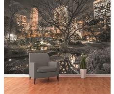 1Wall Central Park de Nueva York Póster Mural de papel pintado para