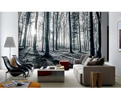 1 Wall Mural de pared no tejido pegar el, madera, blanco y negro, 3,6 x 2,53 M