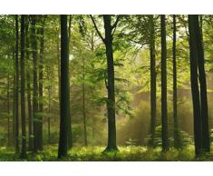 1art1 40585 Wälder - Póster gigante en 8 partes (368 x 254 cm), diseño de bosque