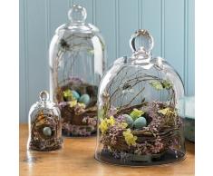 Juego de 3 pantalla de cúpula de planta de tarros de cristal, decorativos campana Bell/terrario/centro de mesa