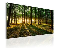 Cuadro en Lienzo 80x40 cm! 1 parte - Impresion en calidad fotografica - Cuadro en lienzo tejido-no tejido - Bosque Natura Paisaje c-B-0057-b-a 80x40 cm