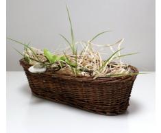 Cesta de mimbre canasta de Pascua cesta maceta de plantas cáscara pequeño marrón oval 35 cm
