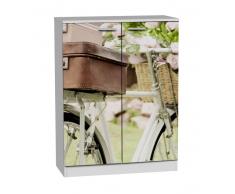 zapatero 2 puertas bicicleta antigua