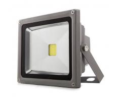 GREENICE Foco Proyector de LEDs para Exterior 50W 4250lm 12-24VDC Blanco Cálido