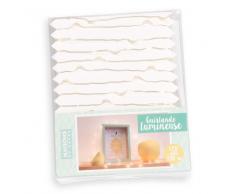 Guirnalda luminosa de 60 led de metal L. 305 cm SILVER