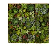 Decoración de pared con plantas artificiales 17x70