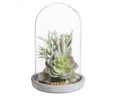 Plantas suculentas artificiales bajo campana de cristal