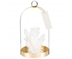 Vela coral blanca bajo campana de cristal