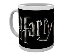 GB Eye LTD, Harry Potter, Logo, Taza