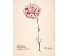 Blyhooft Carnation Hollandia Liberata Flower Painting Art Print Canvas Premium Wall Decor Poster Mural Flor Pintura pared PÃ³ster