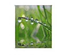 Blindecor Estor enrollable translÃºcido digital, Zen,W-Z-01287,110X180 cm