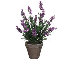 Unbekannt Planta Artificial de diseño de Flores de Lavanda, Colour Morado, con diseño de Maceta de Terracota-de Coloures, con Altura de 33 cm