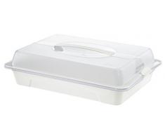 Rotho 1760505070 Party Butler Party Contenedor Cool y Fresh de plástico, Ideal para Transportar y refrigeración de los Alimentos, con asa y frío, 43,5 x 29,5 x 11 cm, Transparente/Verde