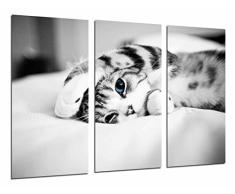 Poster Fotográfico Hipster Animal Gato Ojos Azules, Blanco y Negro Tamaño total: 97 x 62 cm XXL