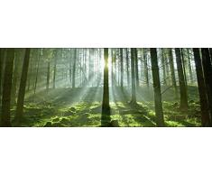 Pro-Art-Bilderpalette Mural fotogrÃ¡fico de Pared, Multicolor