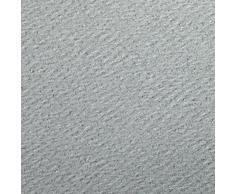 Clairefontaine Papel de Dibujo de Grano de Colores Etival, Papel, Cloud Grey, A4