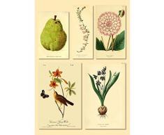 Plage Decoración Mural Adhesiva con Diseño Colección De Plantas, Vinilo, Multicolor, 48x68 cm