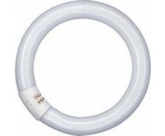Osram LUMILUX - Lámpara (32 W, T9, G10q, 2250 lm, 9000 h, 2700 K)