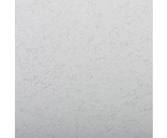 Clairefontaine Papel Color Pastel Ingres, Gris Claro, 50 x 65Â cm, 130Â g, 25 Unidades