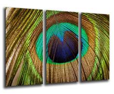 Poster FotogrÃ¡fico Plumas Pavo Real TamaÃ±o total: 97 x 62 cm XXL