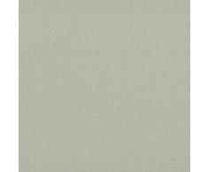 Clairefontaine Ingres Pastel Papel de Color, metÃ¡lico, Color Gris, 50Â x 65Â cm, 130Â g, 25Â Unidades