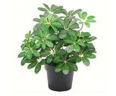 Leaf Planta de Hoja perenne arboricola Artificial