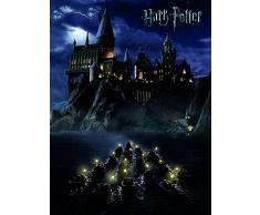 HARRY POTTER Dumbledore impresiÃ³n sobre Lienzo, 40Â x 50Â cm, poliÃ©ster, Hogwarts School, 40 x 50 cm