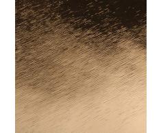 Venilia Lámina adhesiva | Oro Cepillado Ãptica metálica | 45cm x 1,5m, Espesor 120μ | Vinilo autoadhesivo para muebles o cocina, decorativas papel pintado pared | PVC sin ftalatos | Fabricado en UE